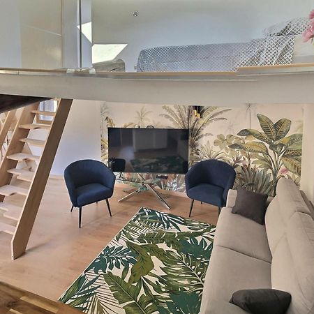 Jungle Loft Beziers Centre Apartment Екстериор снимка