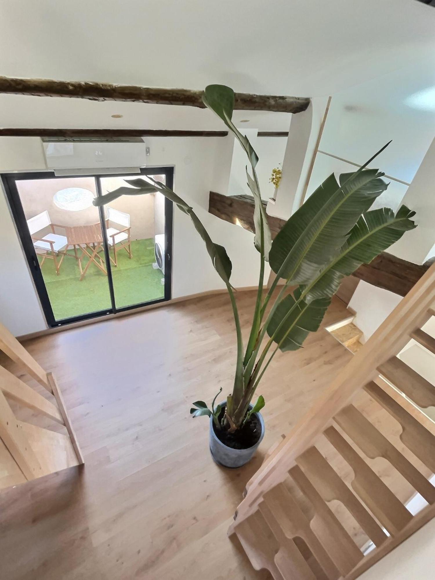 Jungle Loft Beziers Centre Apartment Екстериор снимка
