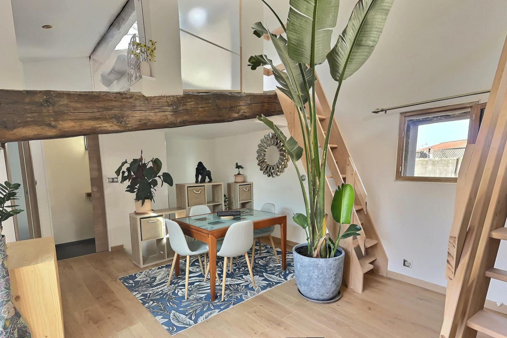 Jungle Loft Beziers Centre Apartment Екстериор снимка